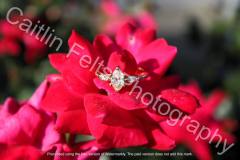 541369986_122101062728996283_2846347190941719255_n