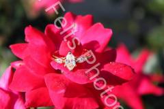 541482609_122101062788996283_8044211867614799204_n