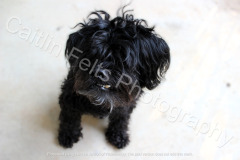 514269724_122104558904996283_510070678863830288_n