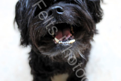 519646685_122104558880996283_6056329759034444008_n