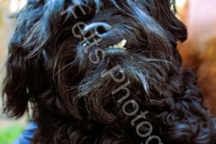 540038966_122104558976996283_703242082421237260_n