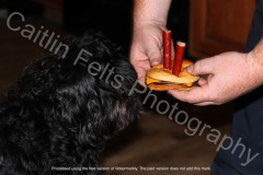 542474177_122104559696996283_1965987404807837869_n