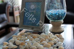 539392733_122101108184996283_5525372248684144505_n